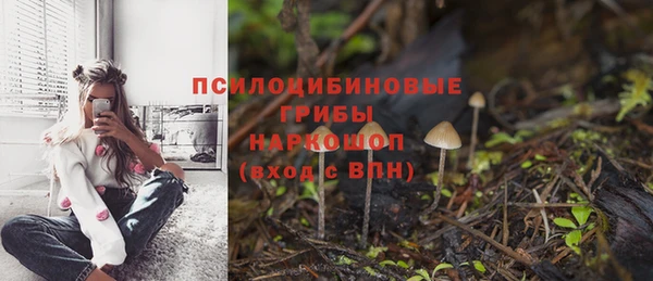 дмт Бугульма