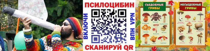 Купить  Качканар  Псилоцибиновые грибы ЛСД 